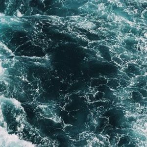 Meet your Posher, Kaitlin